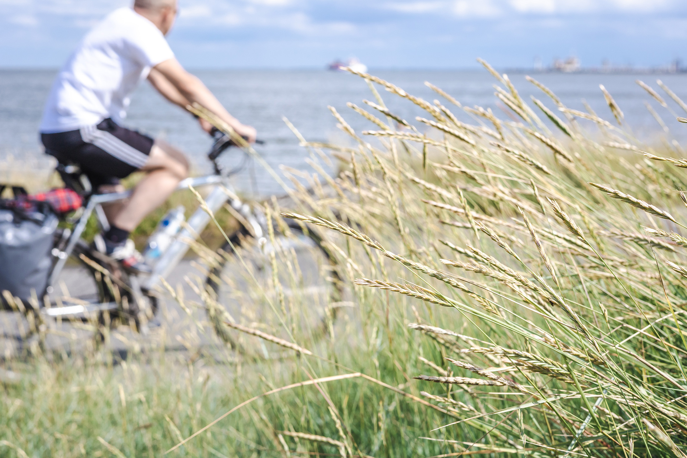 Ferienwohnung Borkum